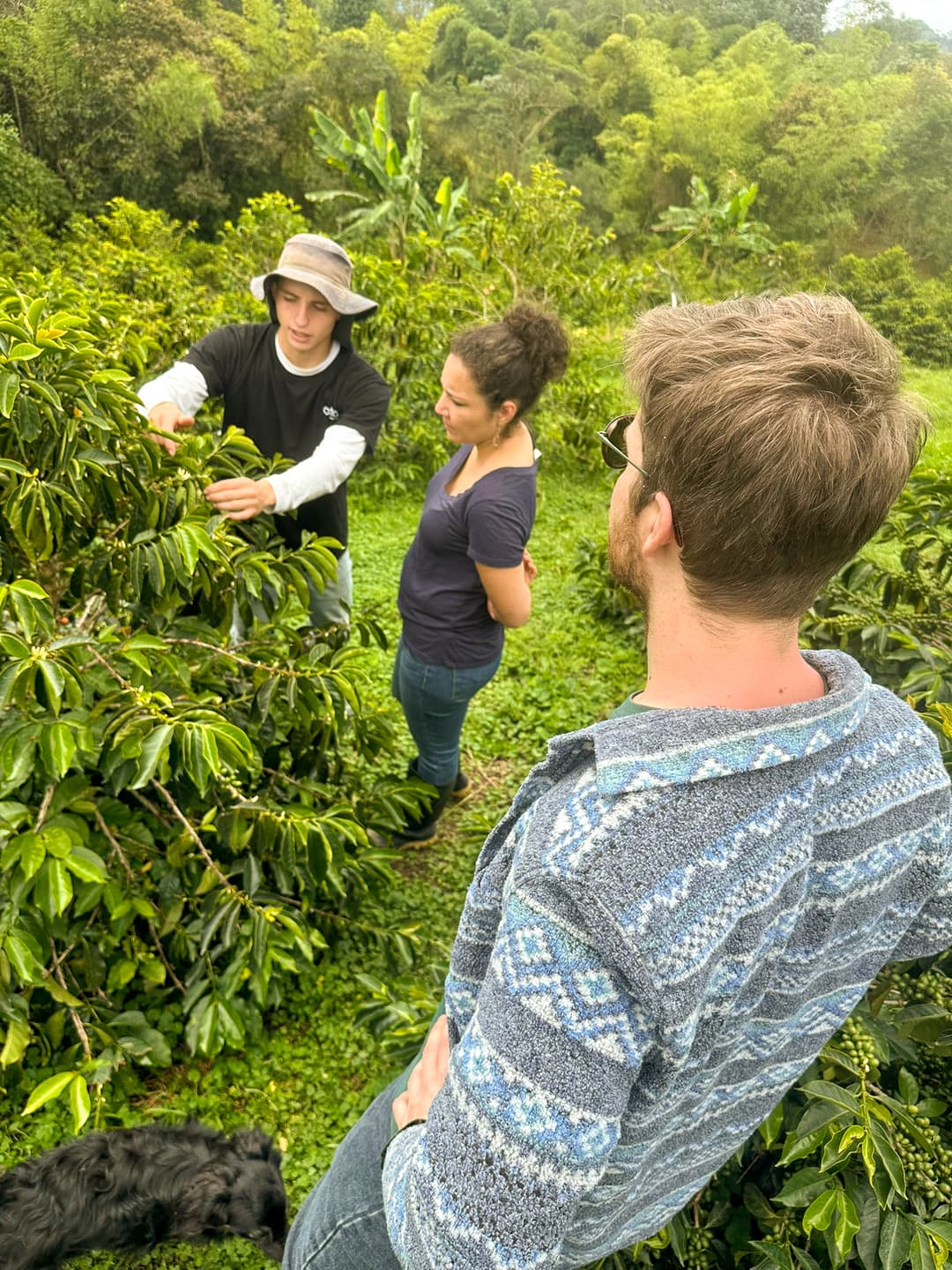 Pierre à la rencontre des producteurs