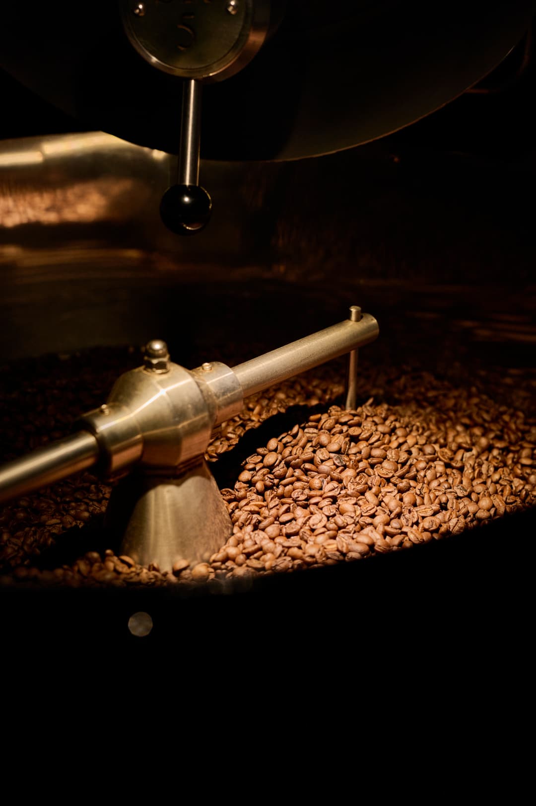 Torréfaction artisanale chez Typikah