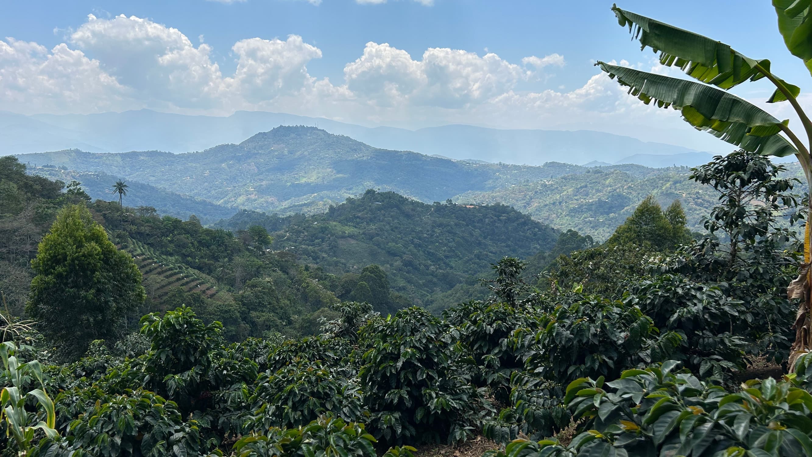 Origine café — Pérou